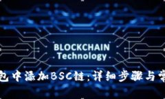如何在TP钱包中添加BSC链：详细步骤与常见问题解