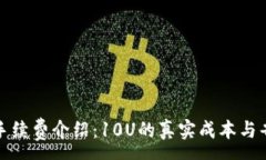 :TP钱包手续费介绍：10U的真实成本与省钱技巧