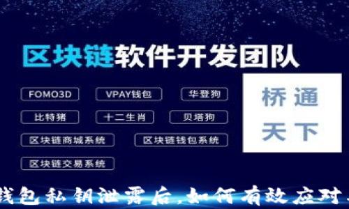 
当TP钱包私钥泄露后，如何有效应对与解决
