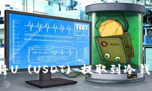 如何安全地将U (USDT) 提取到冷钱包？详尽指南