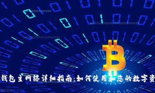 TP钱包主网络详细指南：如何使用和您的数字资产