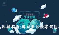 数字钱包选择指南：解析