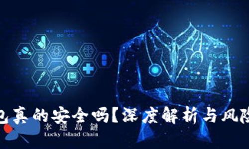 TP钱包真的安全吗？深度解析与风险防控