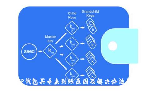 TP钱包买币未到账原因及解决办法详解