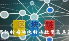 中本聪钱包持有的比特币数量及其影响分析