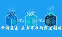 TP钱包里薄饼的未来：未上市币的深度剖析与投资