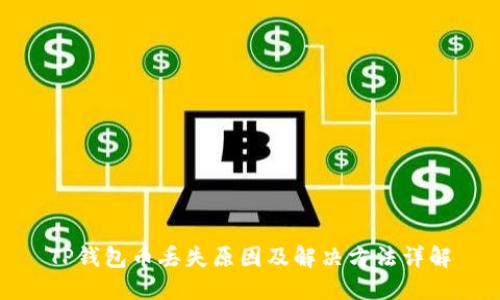 TP钱包币丢失原因及解决方法详解