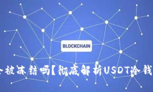 USDT在冷钱包中会被冻结吗？彻底解析USDT冷钱包的安全性与风险