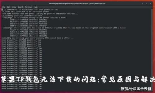 解决苹果TP钱包无法下载的问题：常见原因与解决方案