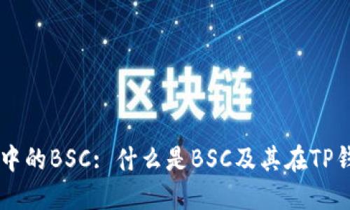 理解TP钱包中的BSC: 什么是BSC及其在TP钱包中的应用