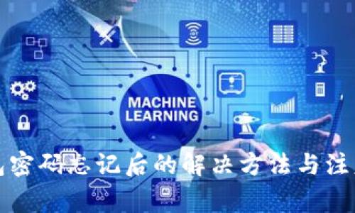 冷钱包密码忘记后的解决方法与注意事项