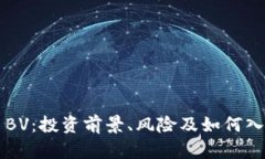 虚拟币BV：投资前景、风险