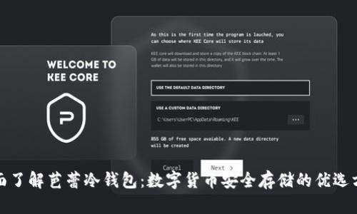 全面了解芭蕾冷钱包：数字货币安全存储的优选方案