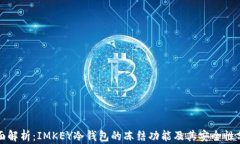 全面解析：IMKEY冷钱包的冻