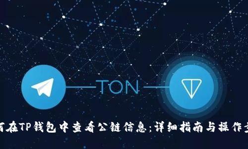 如何在TP钱包中查看公链信息：详细指南与操作步骤