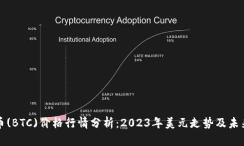 比特币(BTC)价格行情分析：2023年美元走势及未来预测