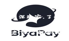   如何安全购买冷钱包：全