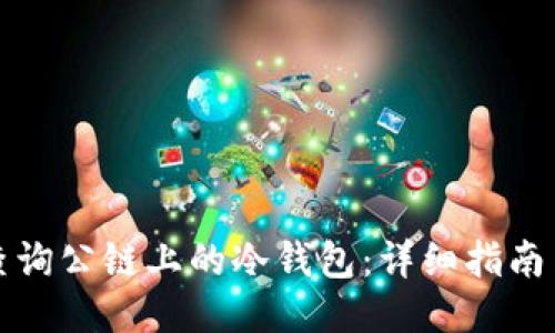 如何查询公链上的冷钱包：详细指南与技巧
