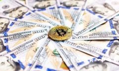 比特币和区块链爱好者必