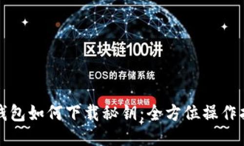 TP钱包如何下载秘钥：全方位操作指南