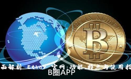全面解析 Ethor 官网:功能、特点与使用指南